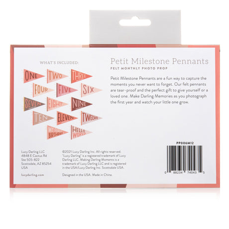 Blushing Meadow Petit Milestone Pennant