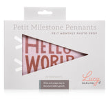 Mountain Fields Petit Milestone Pennant