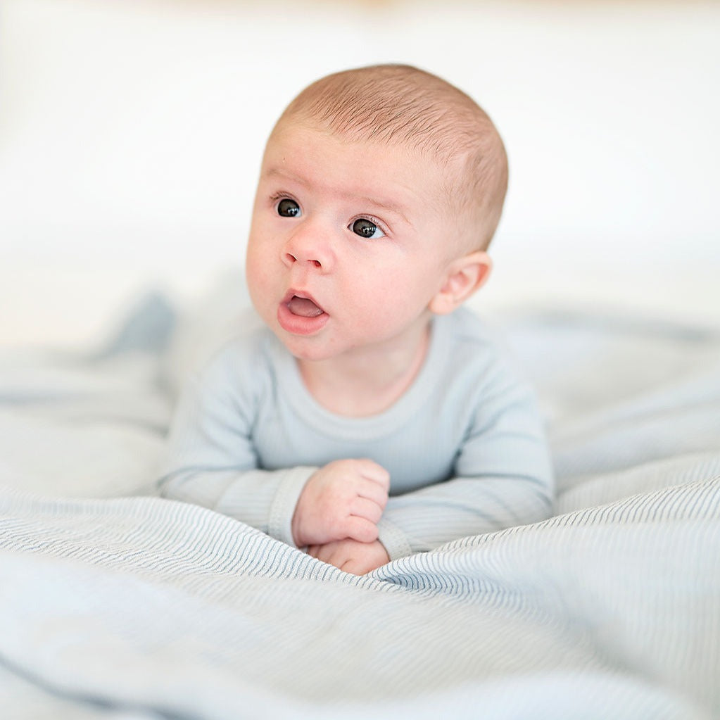 2 Pack Cotton Muslin Swaddle Blanket - Blue Leaf & Stripes