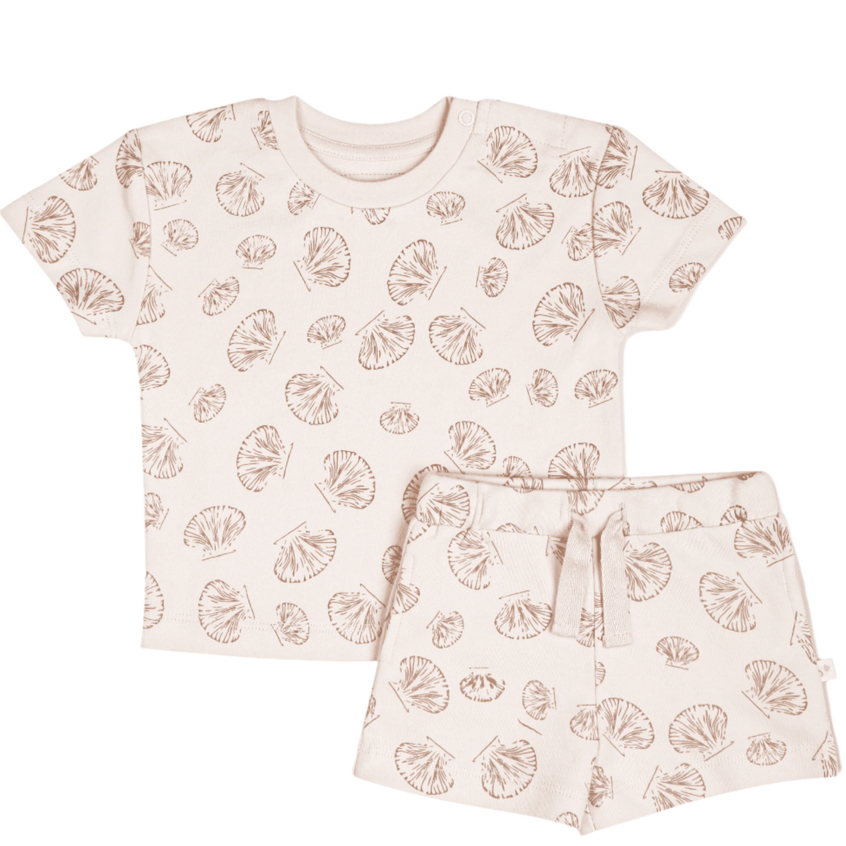 Organic Baby Toddler Tee and Shorts Set - Seashells