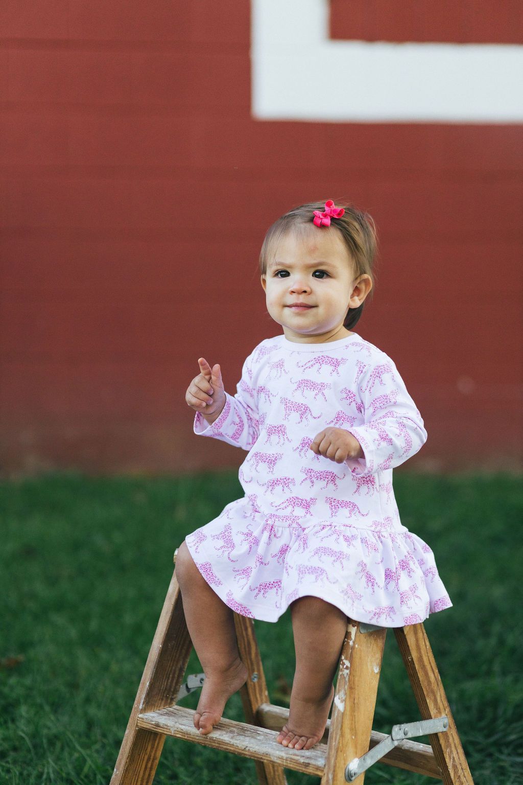 Pink Cheetah Swing Dress