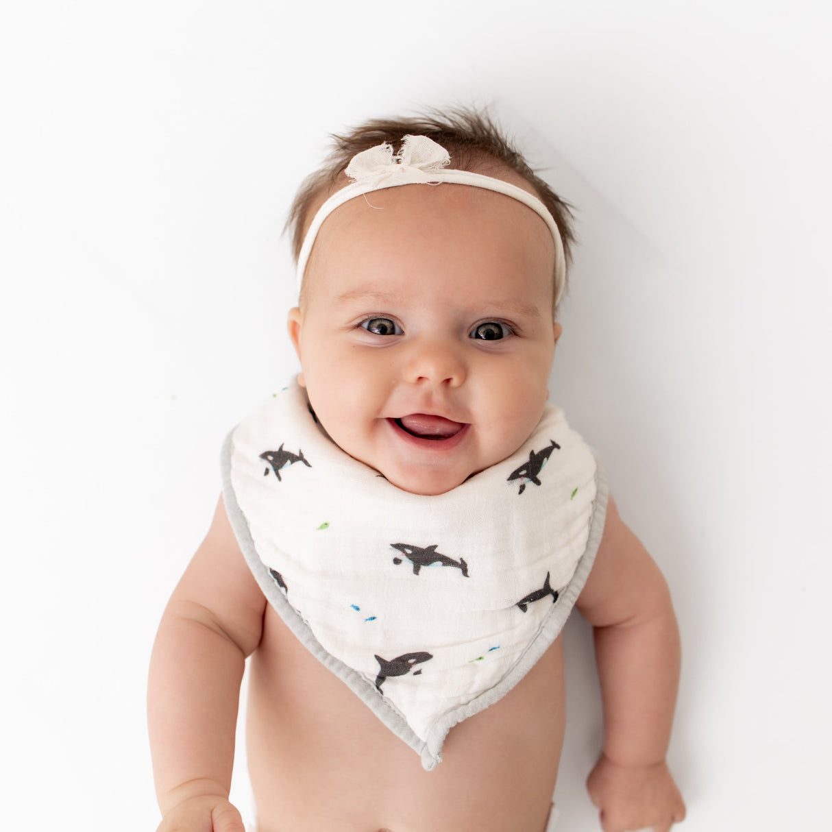 Orca & Blue Dash Bib Set - HoneyBug 