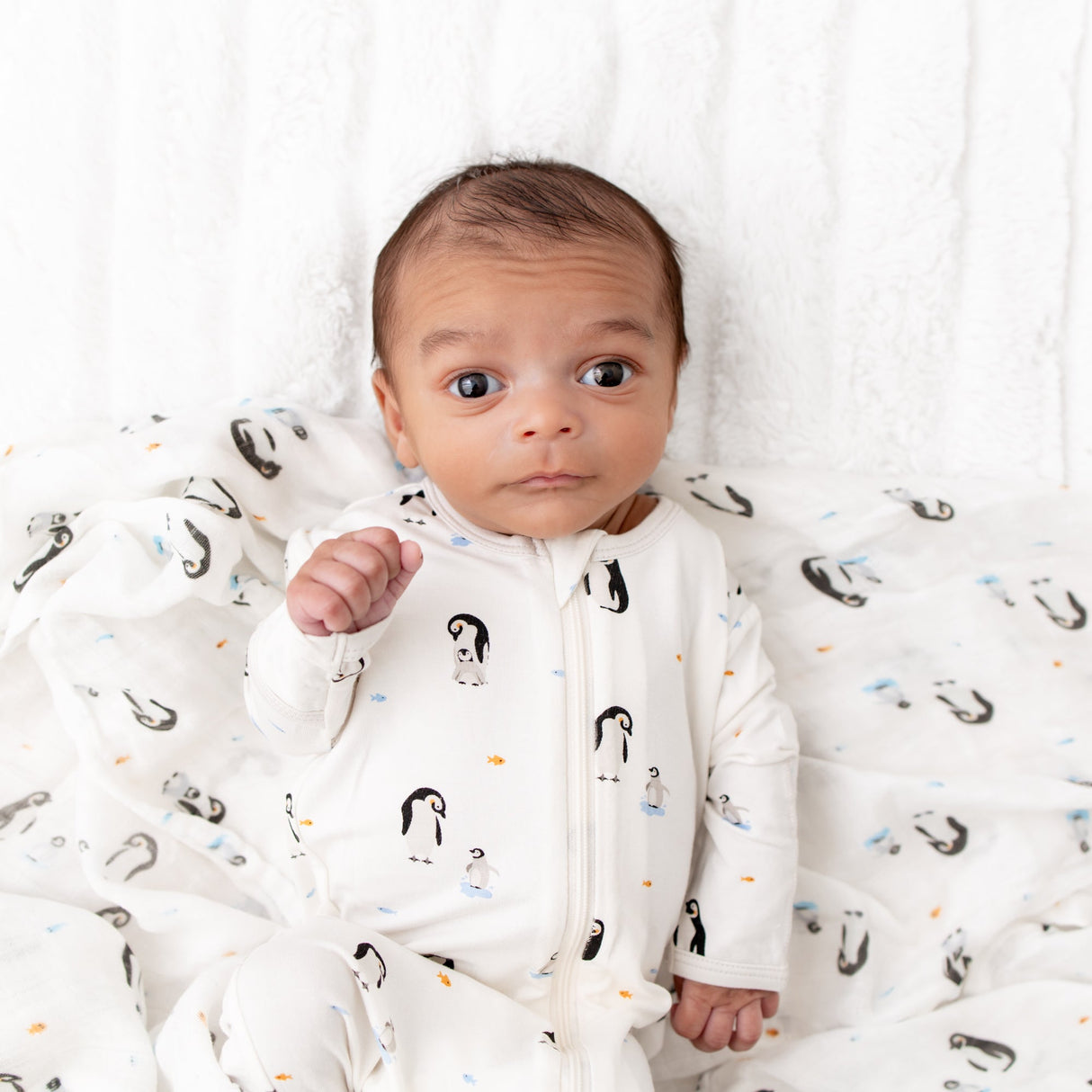 Penguin Swaddle