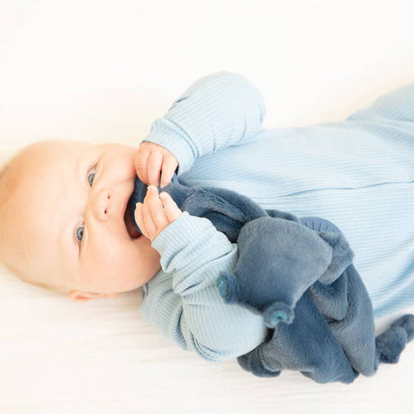 Hippo Teether Buddy - HoneyBug 