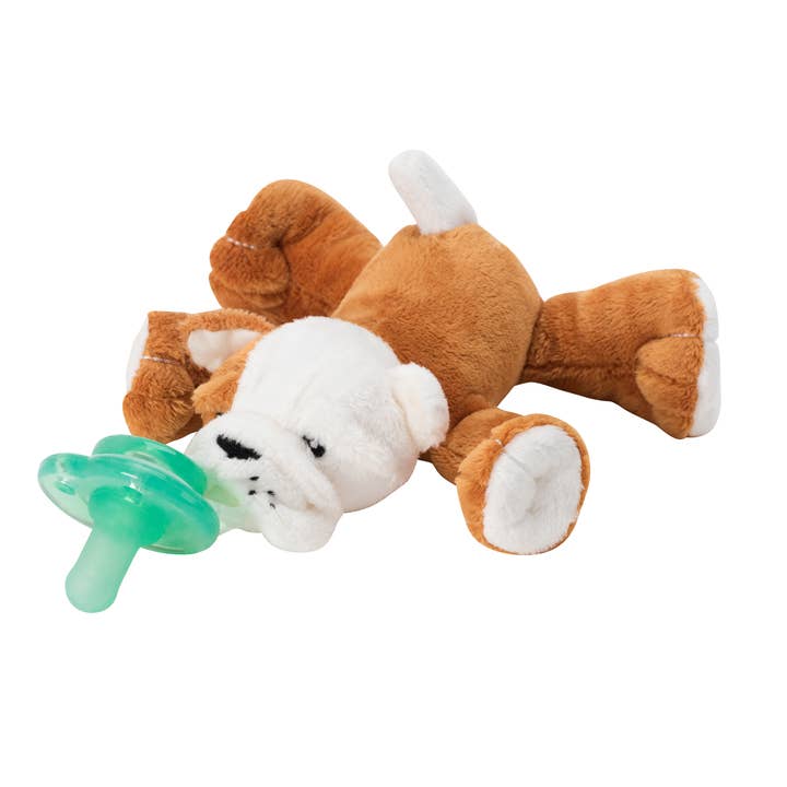 Paci-Plushies Buddies - Barkley Bull Dog - HoneyBug 