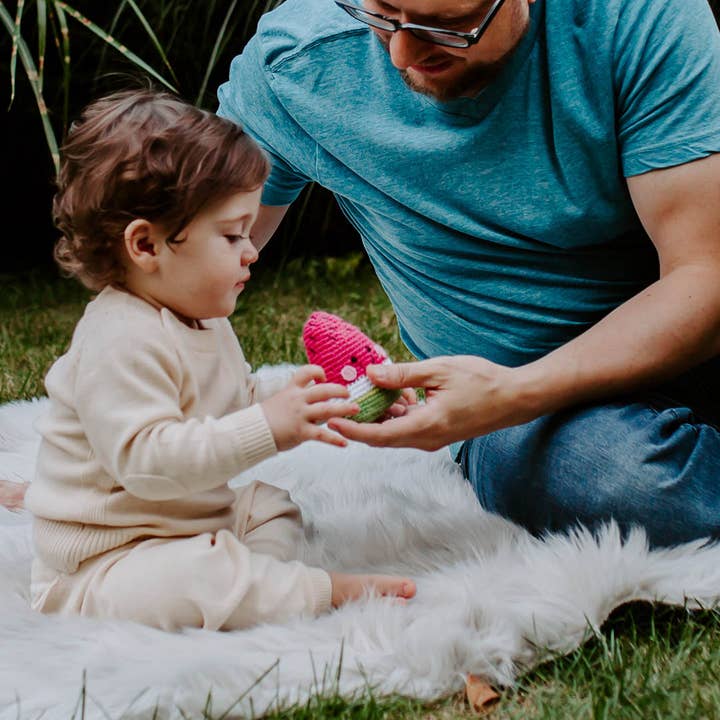 Friendly Watermelon Rattle - HoneyBug 