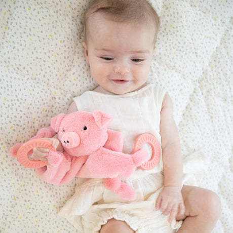 Pig Teether Buddy - HoneyBug 