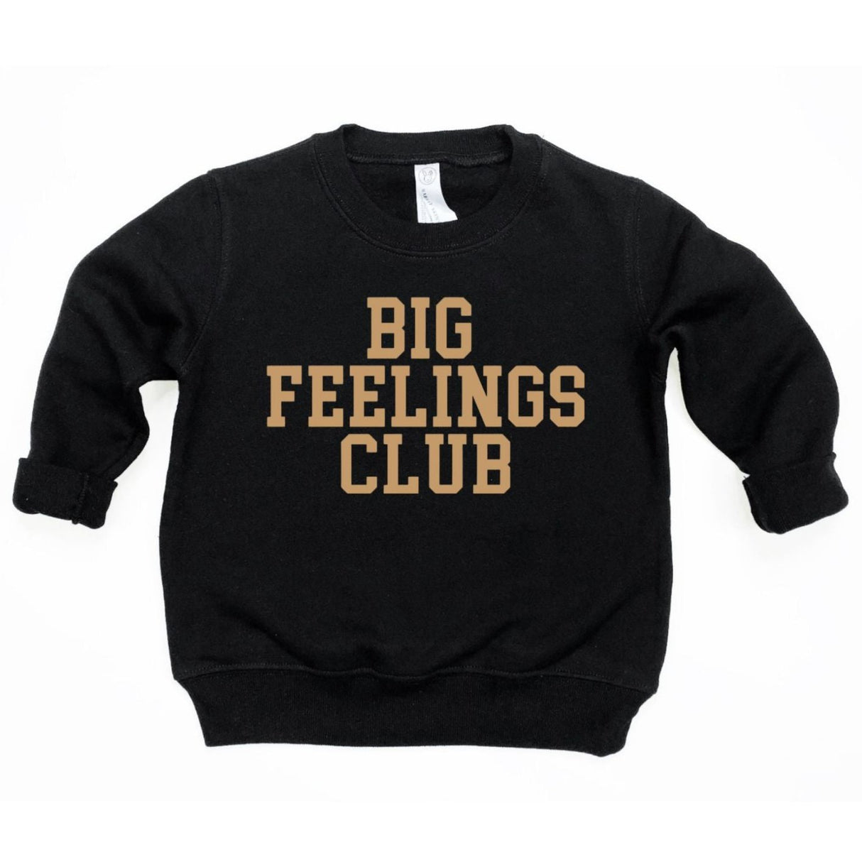 Big Feelings Club Sweatshirt