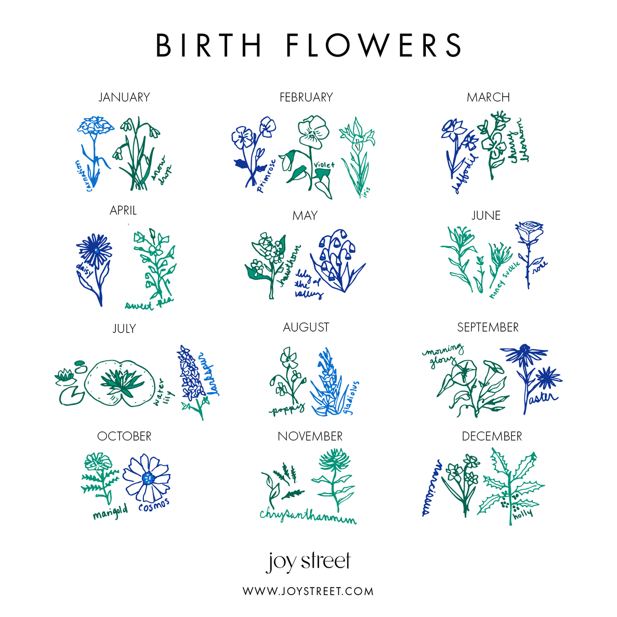 Birth Flowers Baby Bib