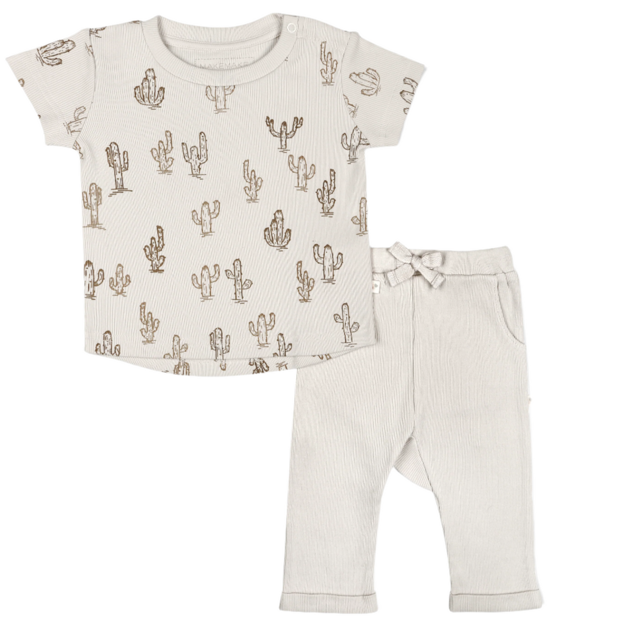 Organic Toddler T-shirt & Pant Set - Cactus