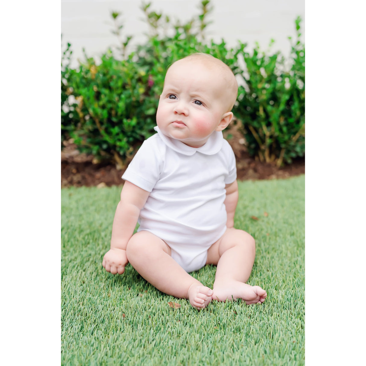 Carter Pima Cotton Short Sleeved Onesie - HoneyBug 