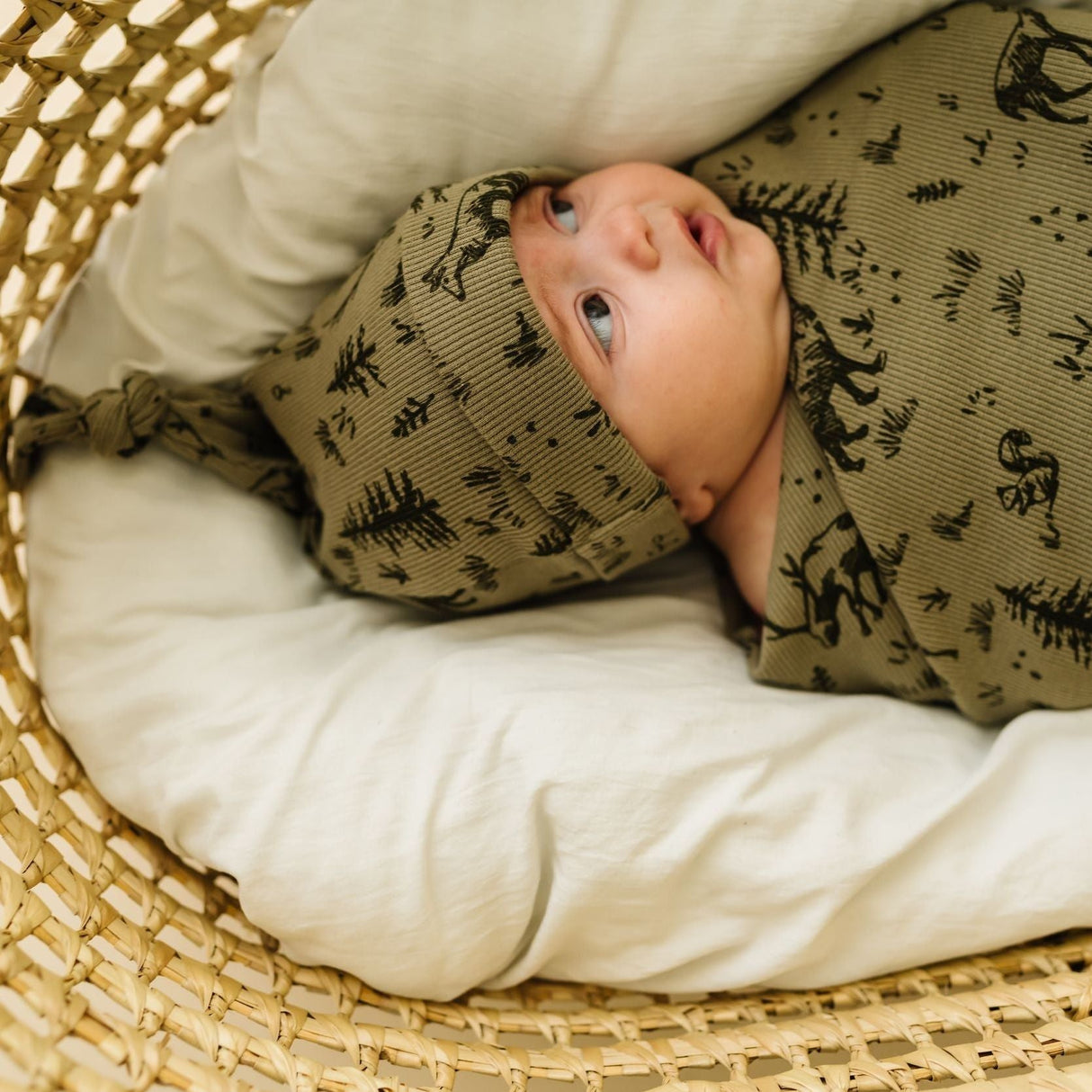 Organic Swaddle Blanket & Hat - Forest Folk