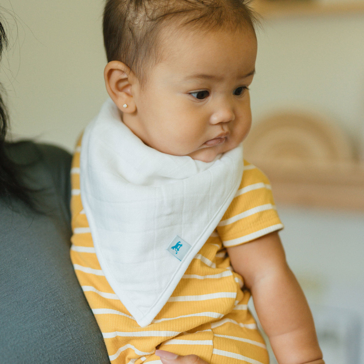 Cotton Muslin + Fleece Bandana Bib 4 Pack - Taupe Cross