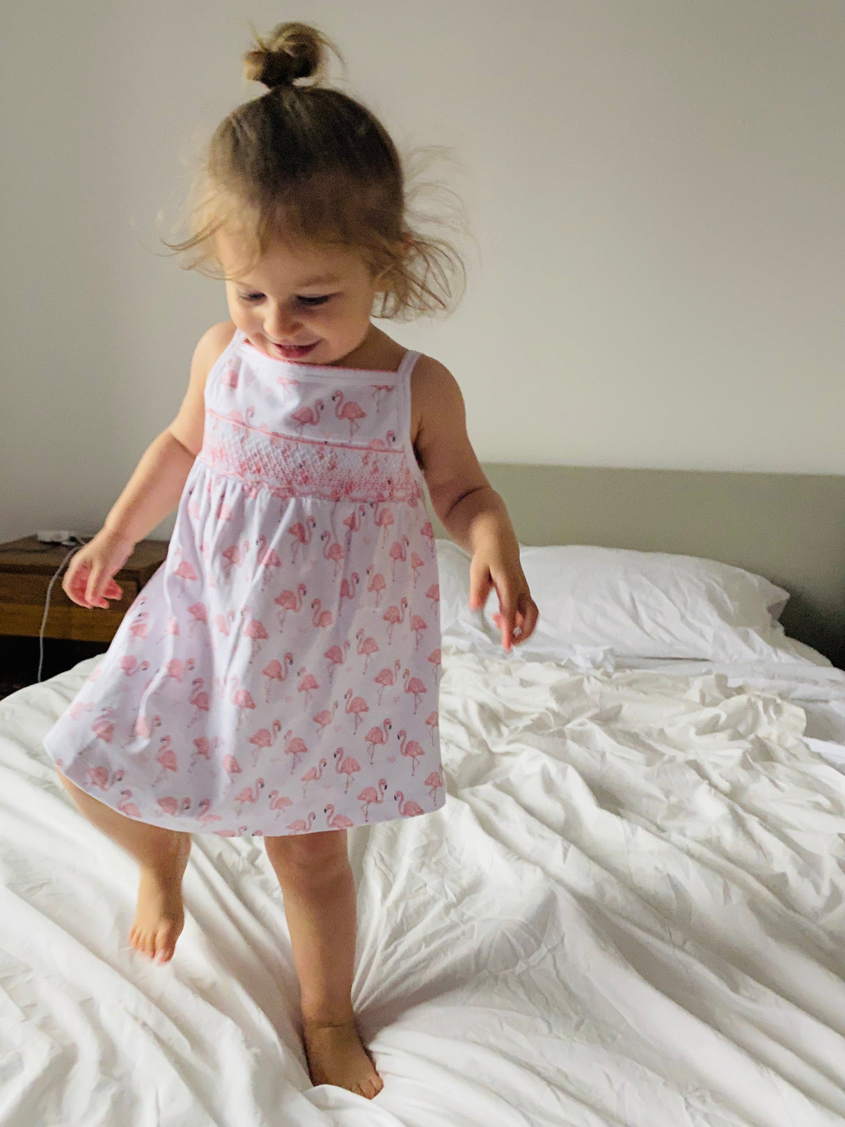 Pink Flamingo Smocked Dress