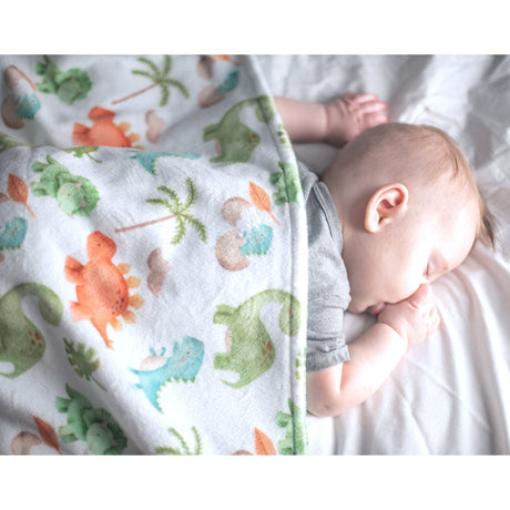 Premium Baby & Toddler Minky Blanket - Dinosaurs