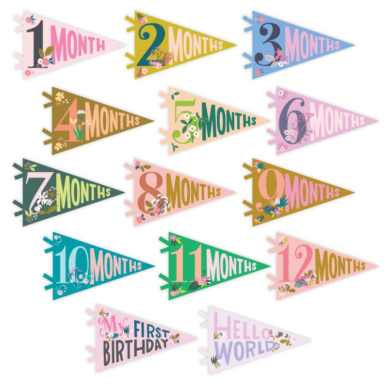 Little Artist Petit Milestone Pennants