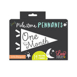 Little Stargazer Petit Milestone Pennants