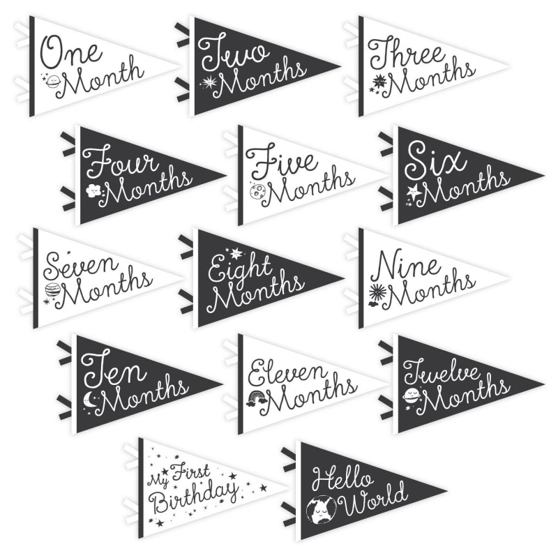 Little Stargazer Petit Milestone Pennants