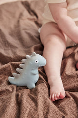 Theo Dino Teether