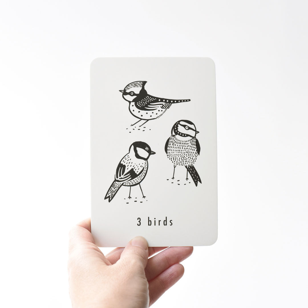 Nature Number Cards - HoneyBug 