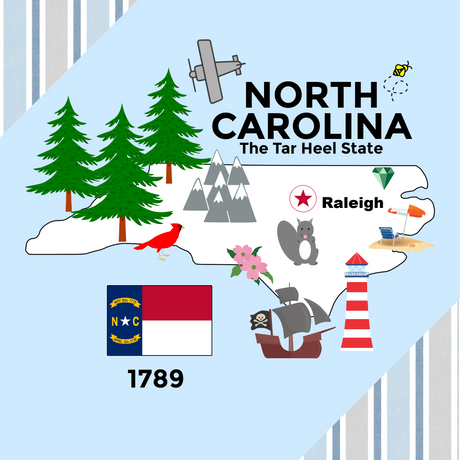 North Carolina State Tag Toy Crinkle Square - HoneyBug 