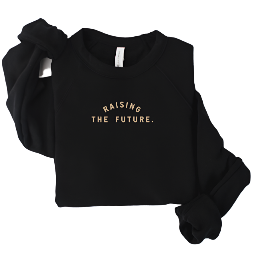 Raising the Future Pullover