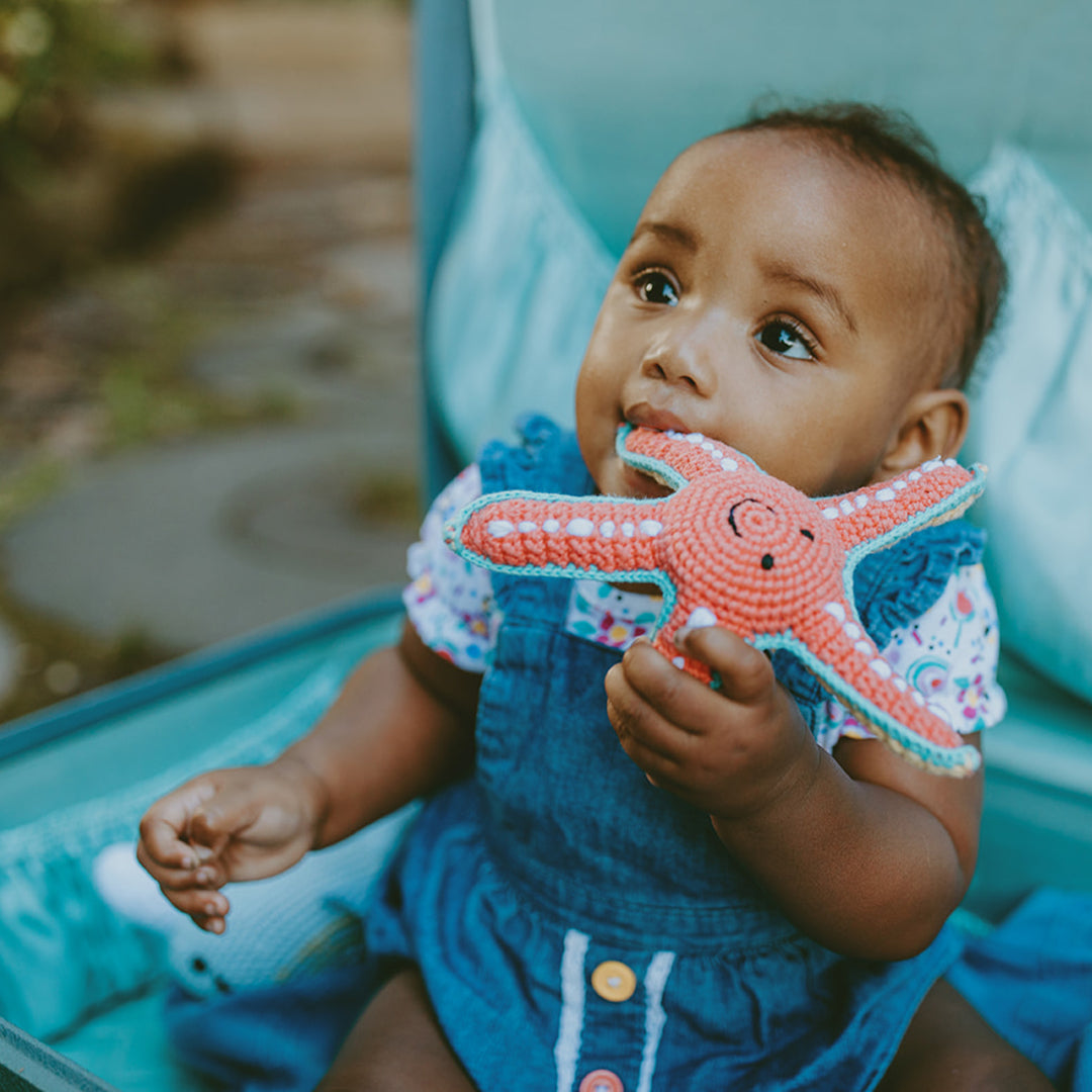 Starfish Rattle