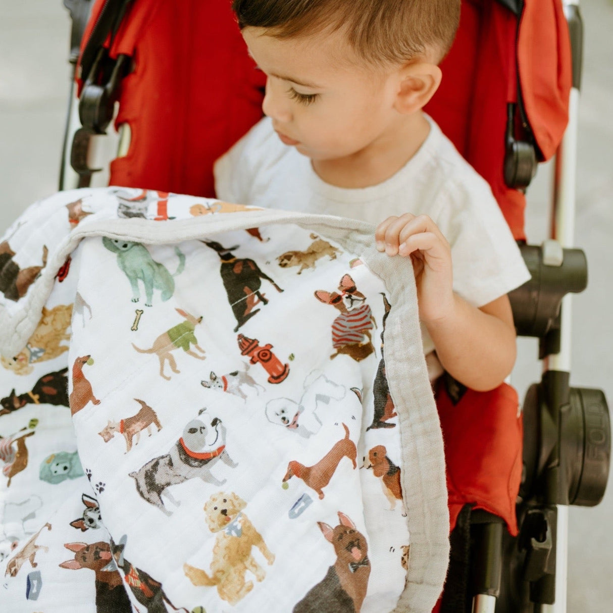 Cotton Muslin Baby Quilt - Woof