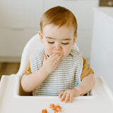 Cotton Muslin Classic Bib 3 Pack - Forest Friends