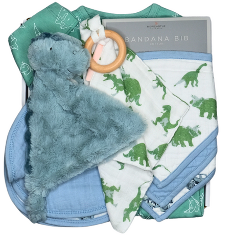 Cuddly Dinosaur Gift Box - HoneyBug 