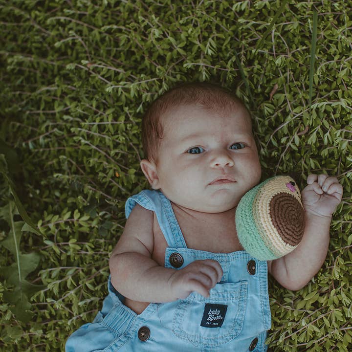 Friendly Avocado Rattle - HoneyBug 