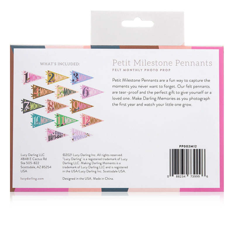 Little Artist Petit Milestone Pennants