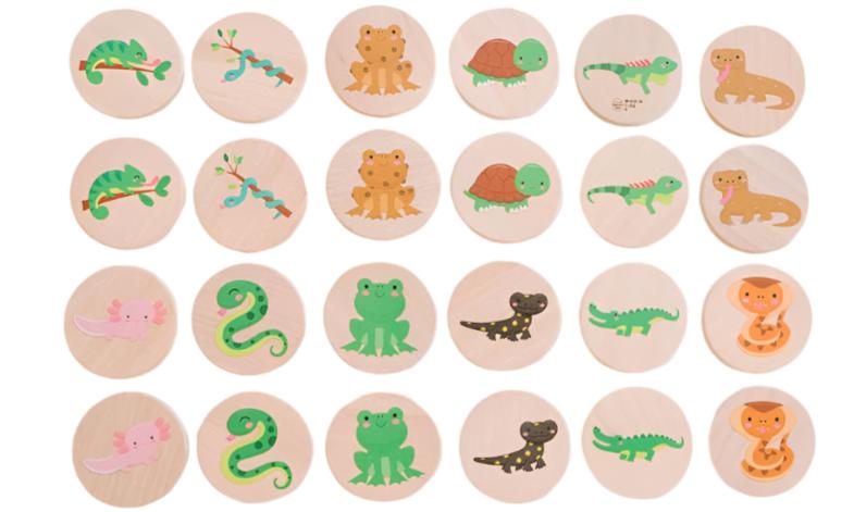 Reptiles Matching Tiles