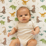 Stretch Knit Crib Sheet - Dino Pals