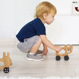 Bunny Push Toy - HoneyBug 