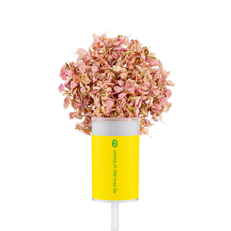 First Day of School Pencil Confetti Popper - HoneyBug 