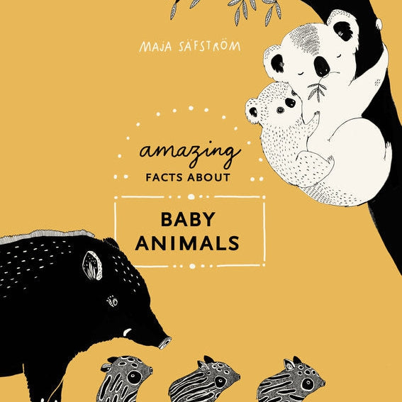 Amazing Facts About Baby Animals - HoneyBug 