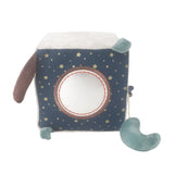 'Astro' Dog Activity Cube - HoneyBug 