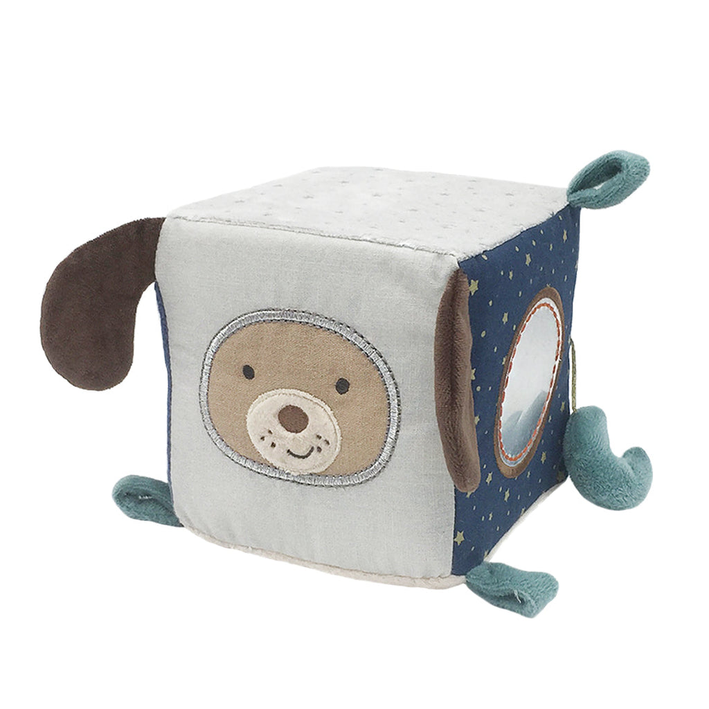 'Astro' Dog Activity Cube - HoneyBug 