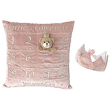 Princess First Year Pillow & Crown Gift Set - HoneyBug 