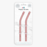 Straw Replacement Pack - HoneyBug 