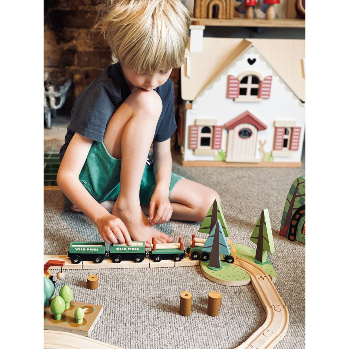 Wild Pines Train Set - HoneyBug 