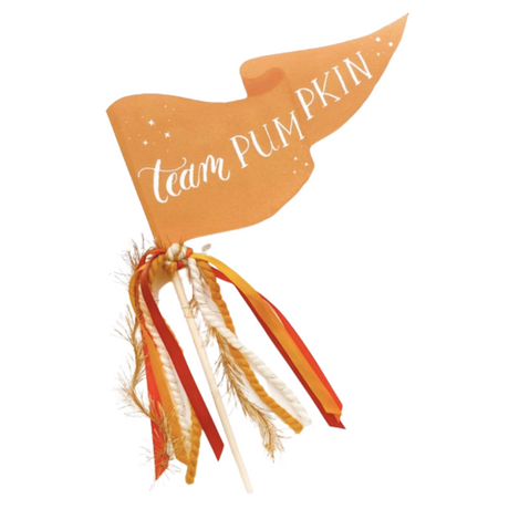 Team Pumpkin Party Pennant - HoneyBug 