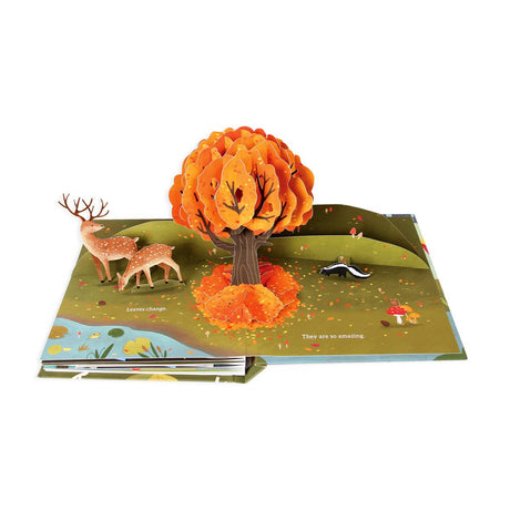 Pop-Up Book: Leaves - HoneyBug 