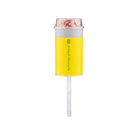 First Day of School Pencil Confetti Popper - HoneyBug 