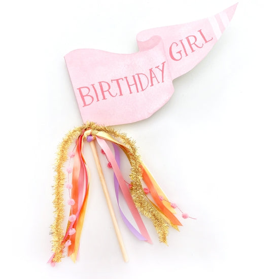 Birthday Girl Party Pennant - HoneyBug 