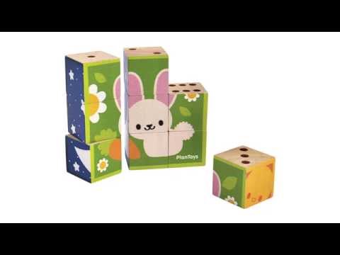 Puzzle Cubes