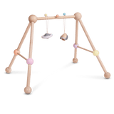 Play Gym - HoneyBug 